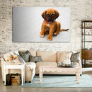 Cuadro Decorativo Puppy
