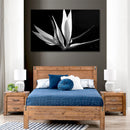 Cuadro Decorativo Floreciendo