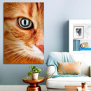 Cuadro Decorativo Gato Mirando