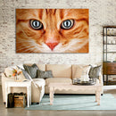 Cuadro Decorativo Gato Mirando