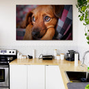 Cuadro Decorativo Perrito