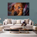 Cuadro Decorativo Perrito
